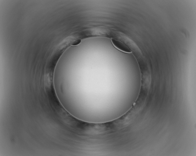 X0000114160329200910221613