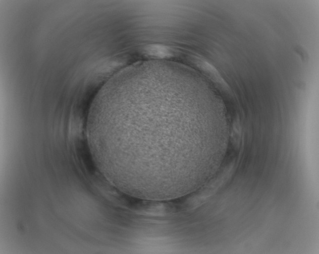 X0000114160330200910221613