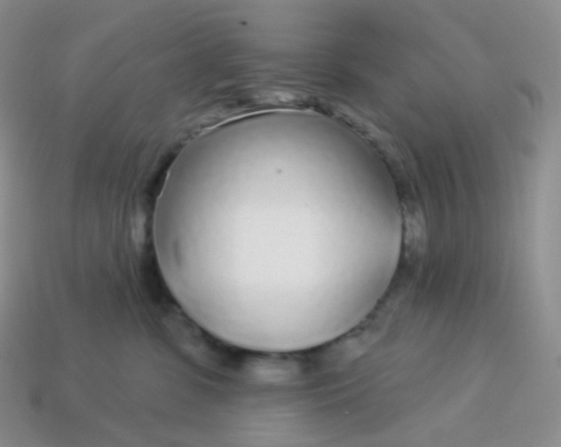 X0000114160331200910221613