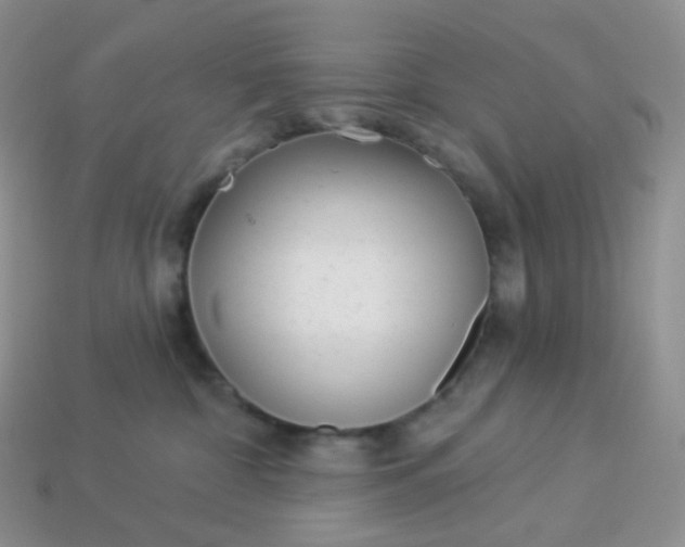 X0000114160332200910221613