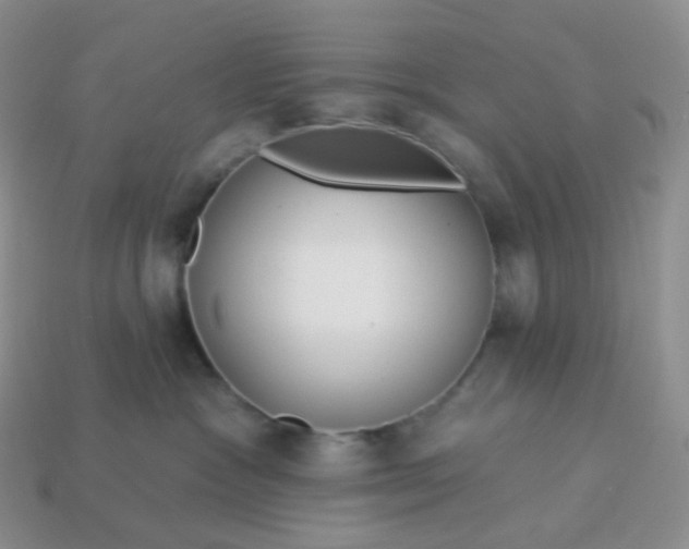 X0000114160333200910221613