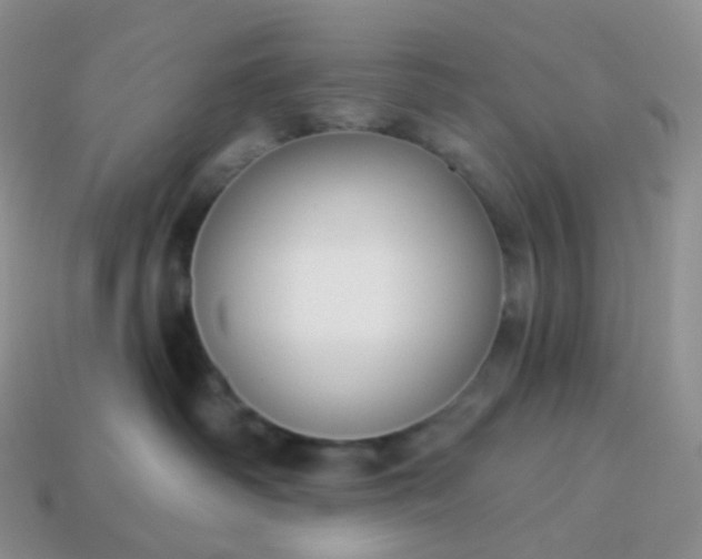 X0000114160334200910221613