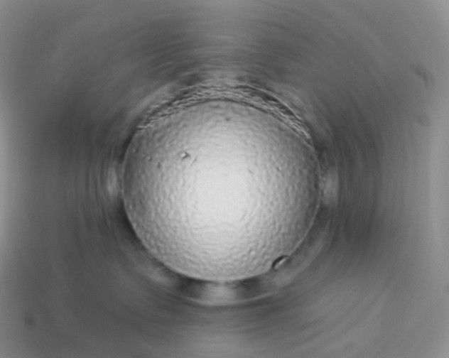 X0000114160335200910221613