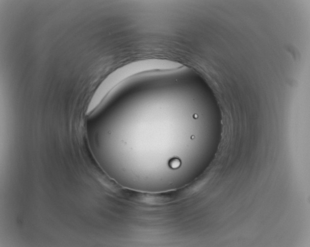 X0000114160336200910221613