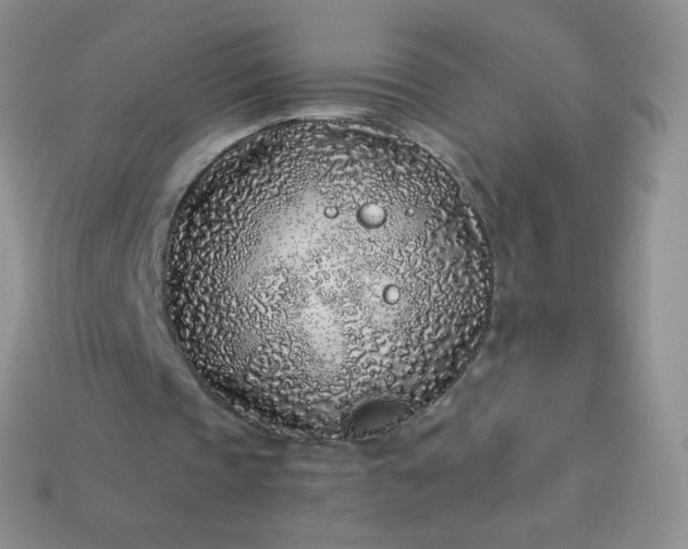 X0000114160337200910221613