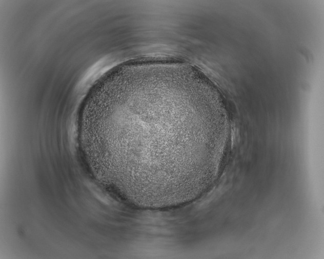 X0000114160339200910221613