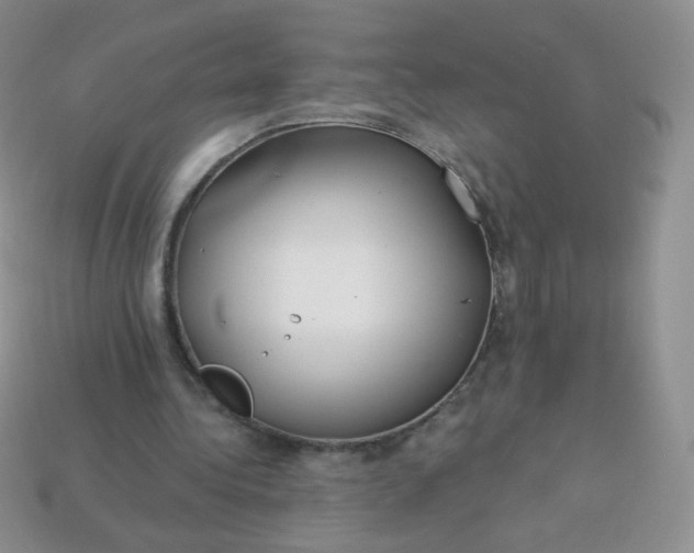 X0000114160340200910221613