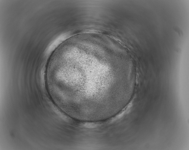 X0000114160341200910221613