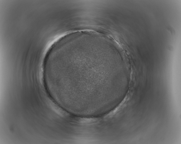 X0000114160342200910221613