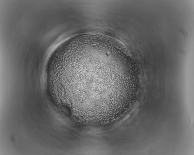 X0000114160343200910221613