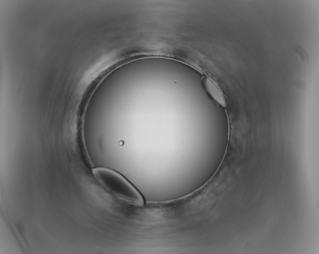 X0000114160344200910221613