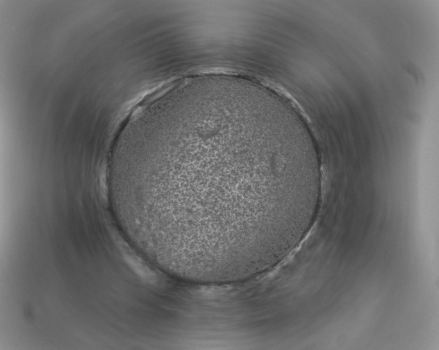 X0000114160345200910221613