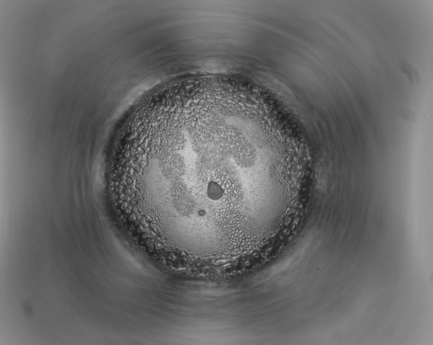 X0000114160347200910221613