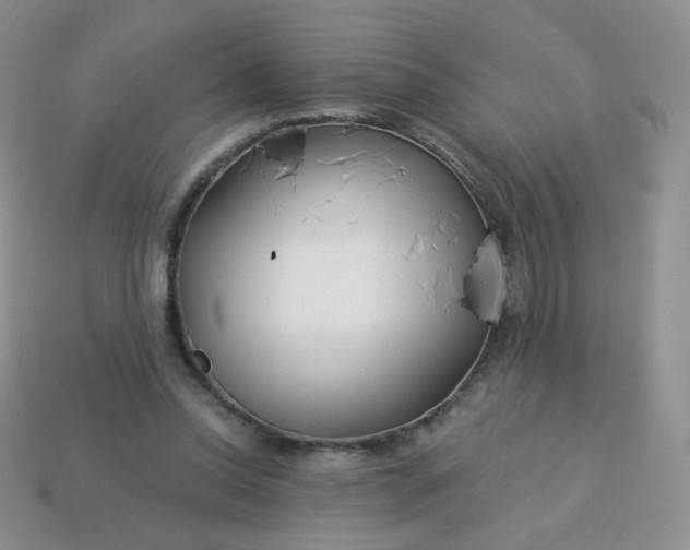 X0000114160350200910221613