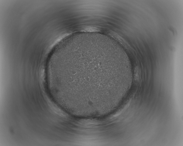 X0000114160351200910221613