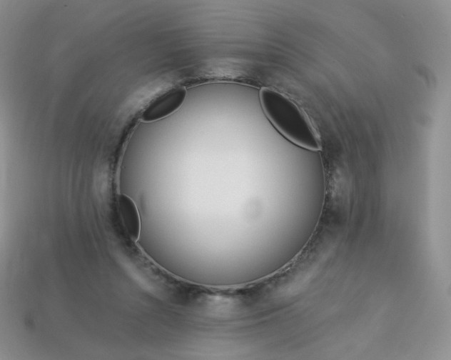 X0000114160352200910221613