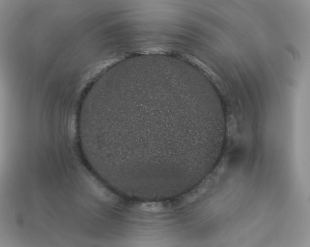 X0000114160353200910221613