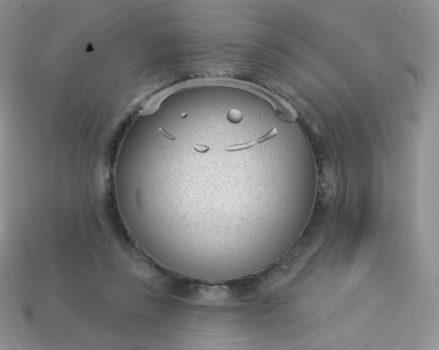 X0000114160355200910221613