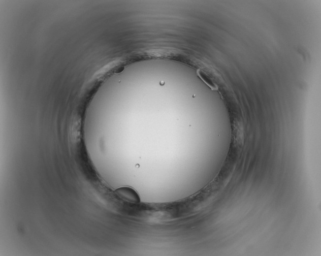 X0000114160356200910221613