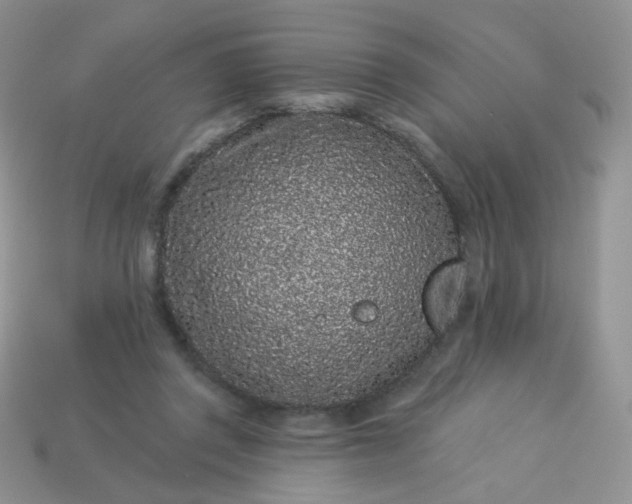 X0000114160357200910221613