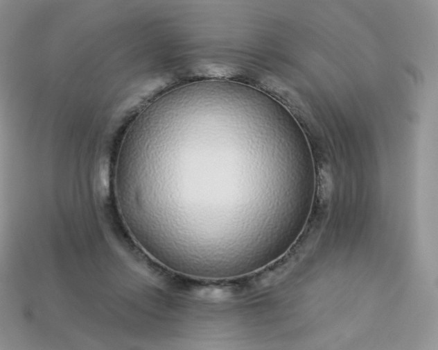 X0000114160358200910221613