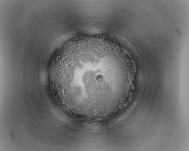 X0000114160359200910221613