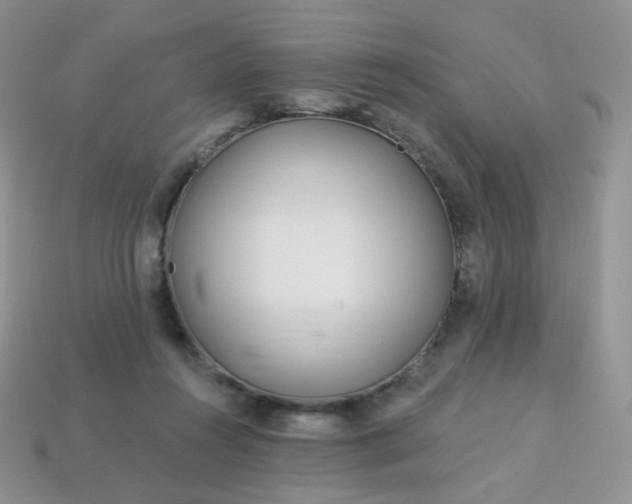 X0000114160360200910221613