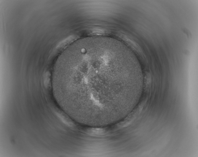 X0000114160361200910221613