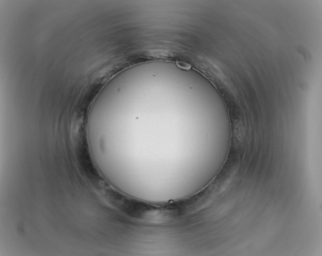 X0000114160364200910221613