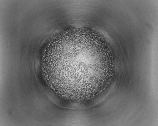 X0000114160365200910221613