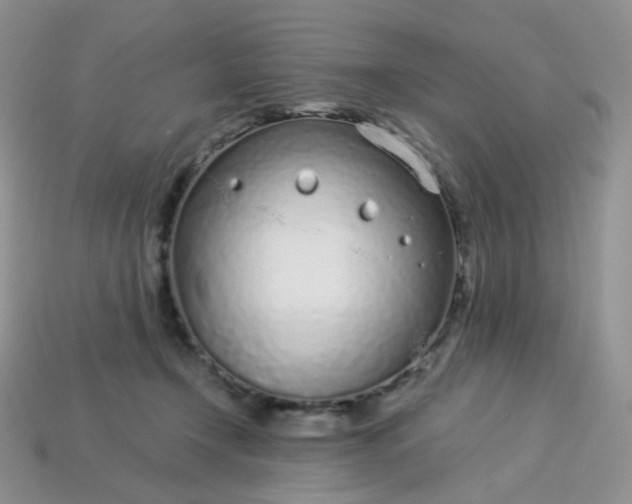 X0000114160366200910221613