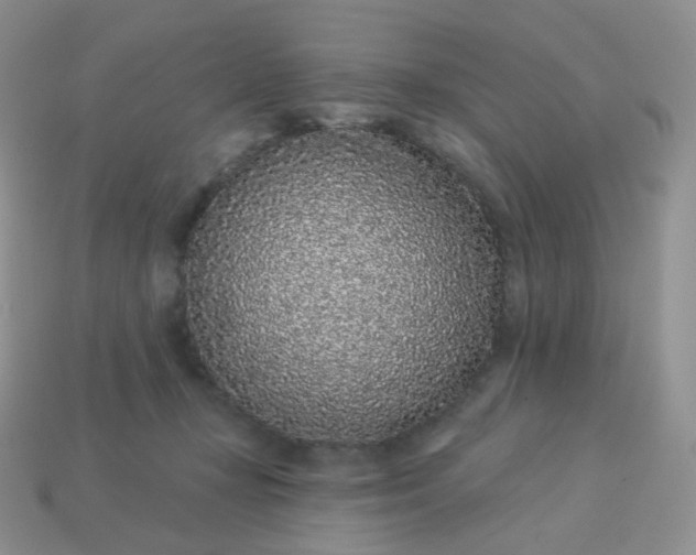 X0000114160367200910221613