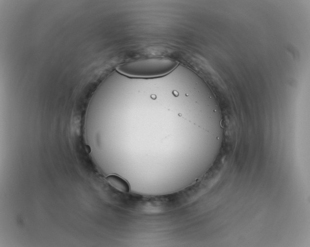 X0000114160368200910221613