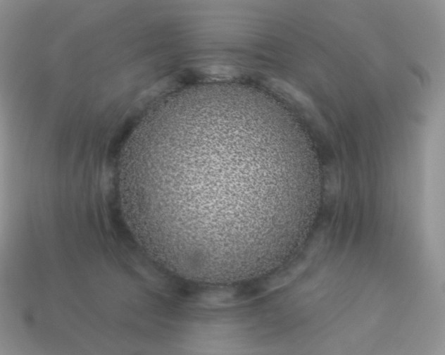 X0000114160369200910221613