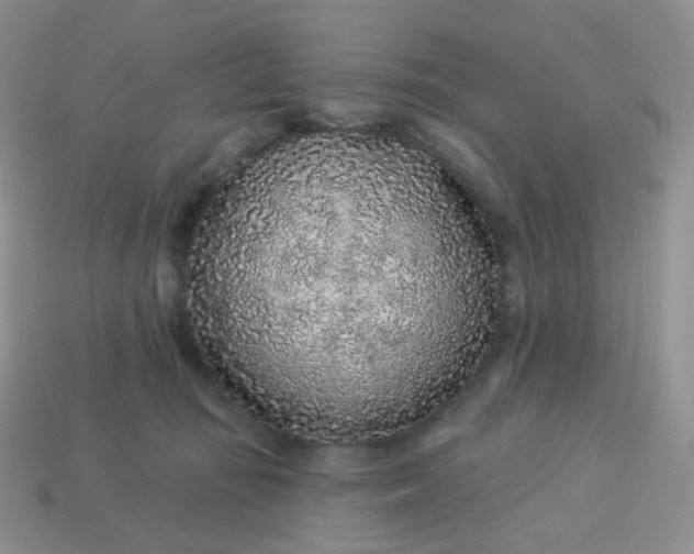 X0000114160371200910221613