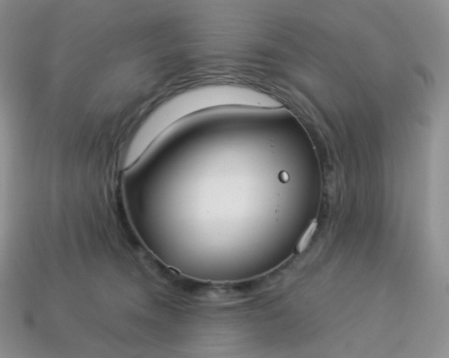 X0000114160372200910221613