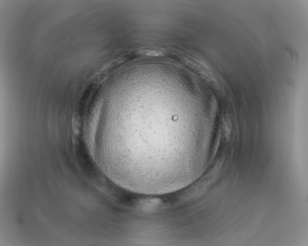 X0000114160374200910221613