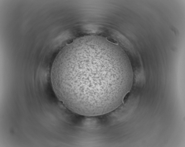 X0000114160376200910221613