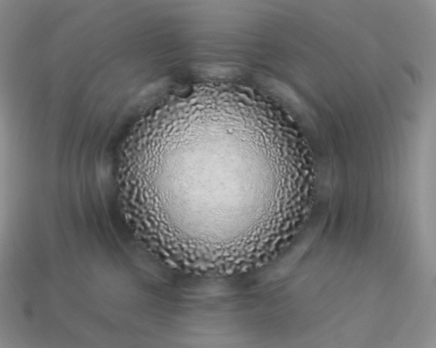 X0000114160377200910221613