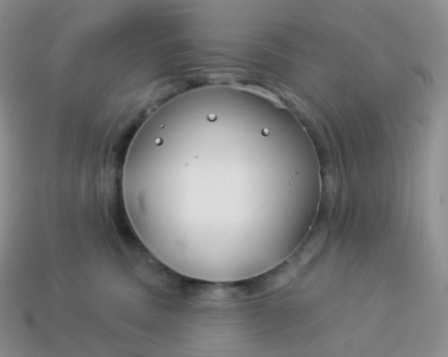 X0000114160379200910221613