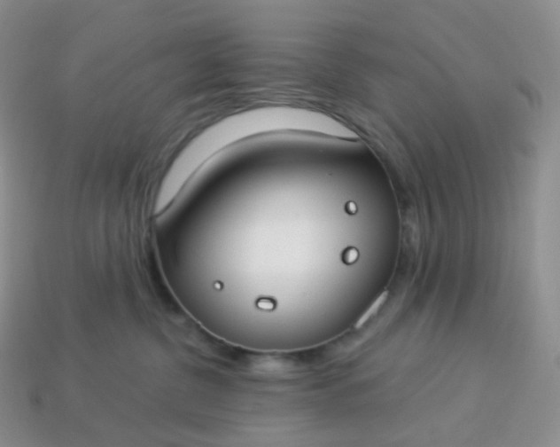 X0000114160380200910221613