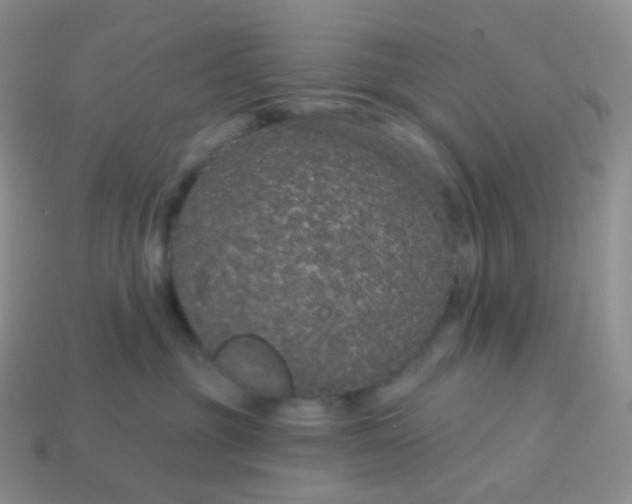 X0000114160381200910221613