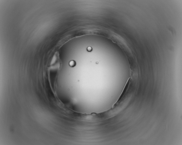 X0000114160382200910221613