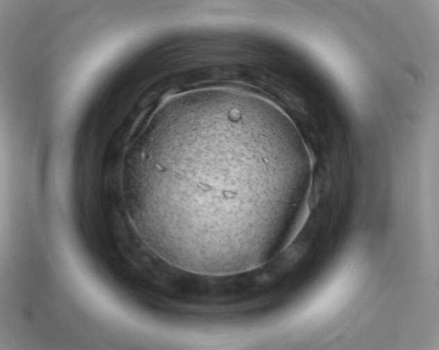 X0000114160383200910221613