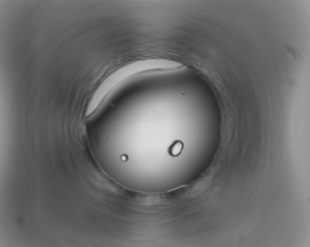 X0000114160384200910221613