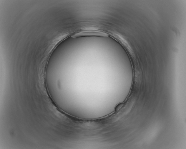 X0000114160385200910221613