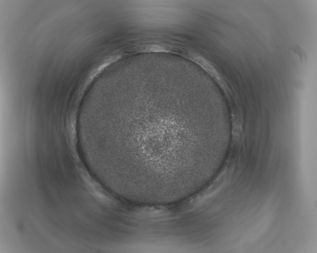 X0000114160386200910221613