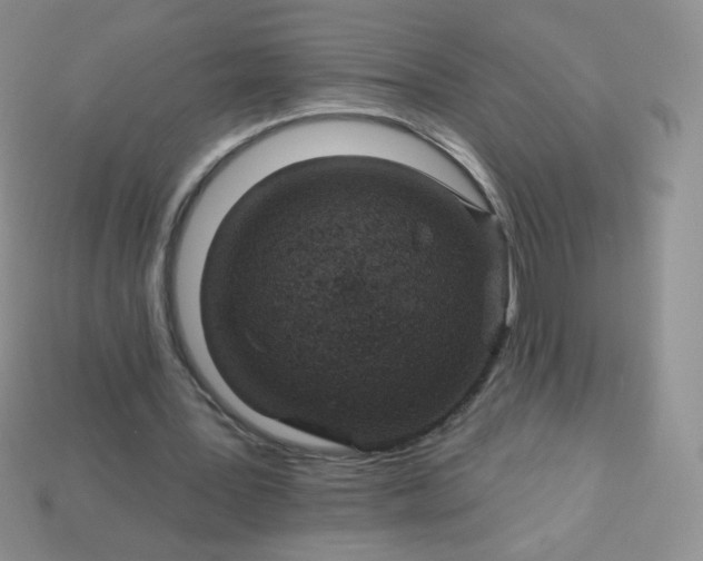 X0000114160387200910221613