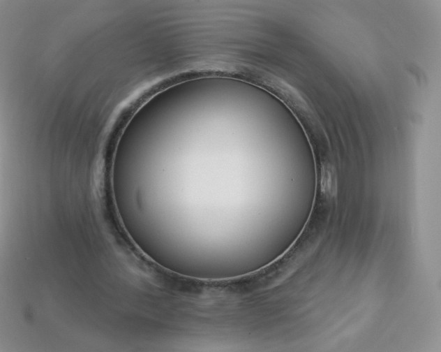 X0000114160388200910221613