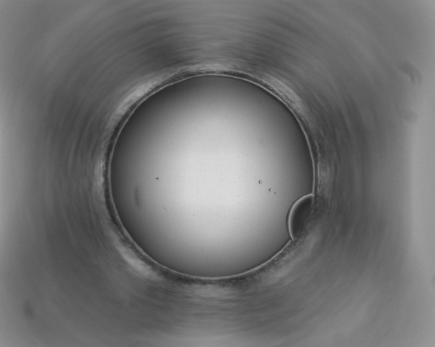 X0000114160389200910221613